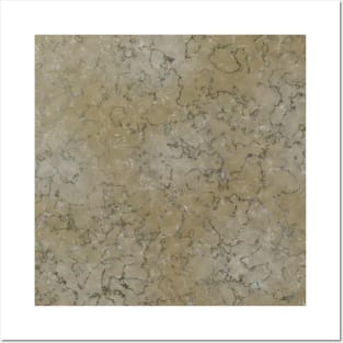 Gray marble stone with dark veins Posters and Art